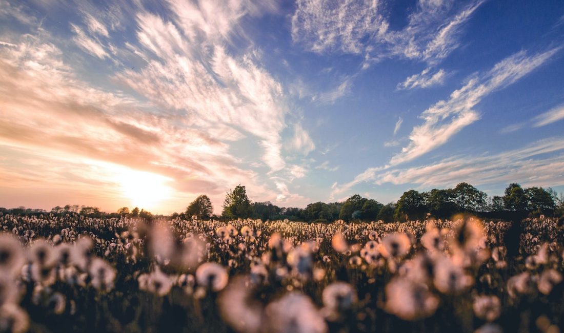 İçinizi ısıtacak harika doğa manzaraları Ünlü dizi oyuncusu, sosyal medyada yarattığı etkileyici paylaşımıyla büyük bir