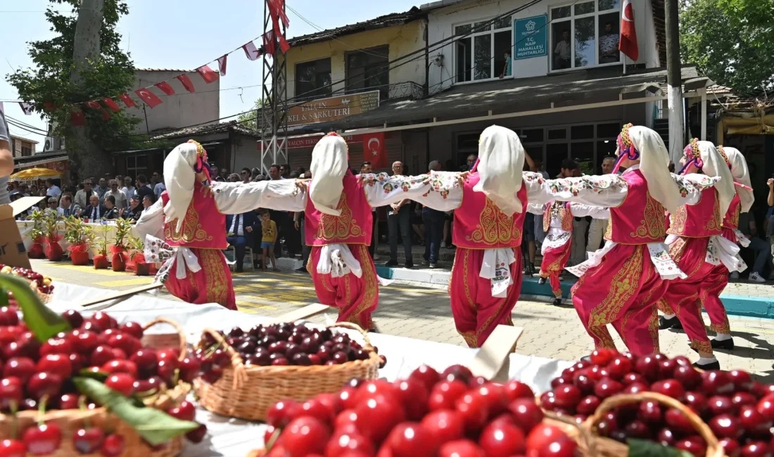 59. Kiraz Festivali Tarihleri Belli Oldu Kiraz Festivalinin 12-13-14-15 Haziran'da yapılacak