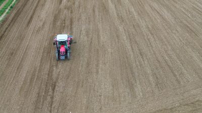 Ayçiçeğinde 400 Bin Ton Rekolte Bekleniyor