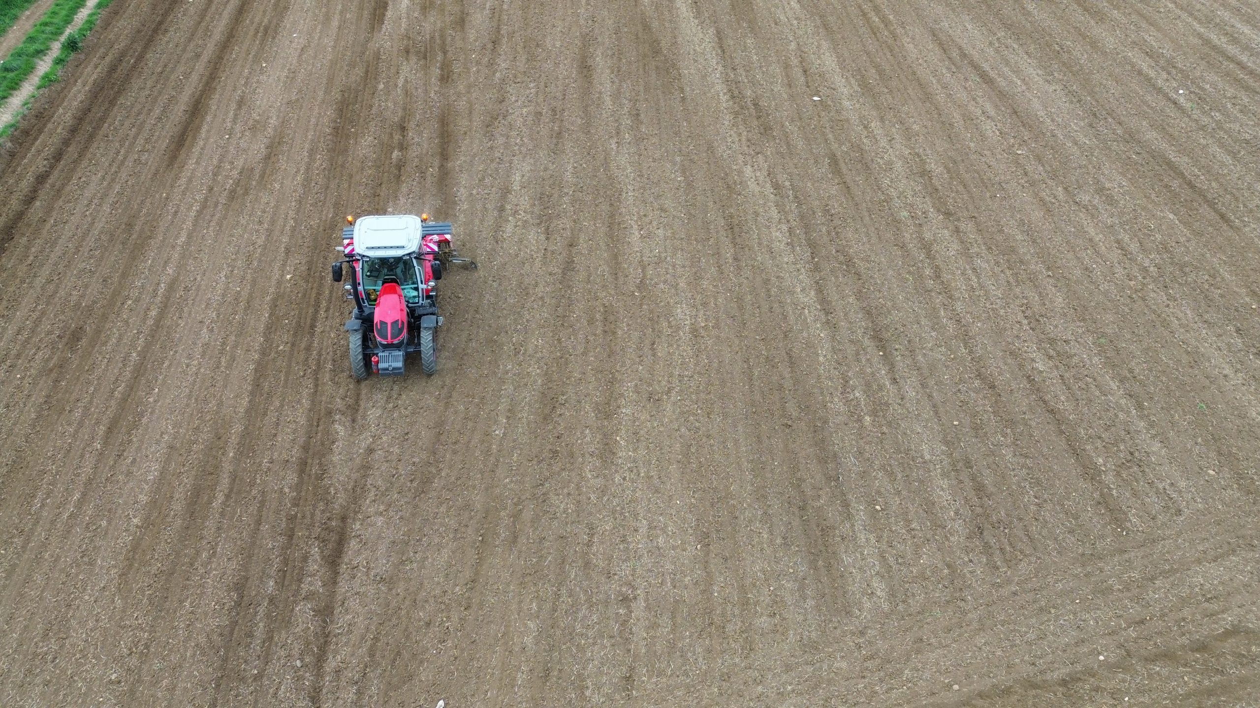 Ayçiçeğinde 400 Bin Ton Rekolte Bekleniyor