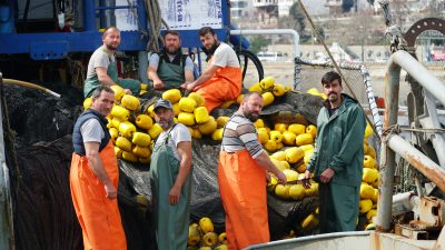 Marmara Denizi’nde etkili olan deniz salyası (müsilaj), Tekirdağlı balıkçıların avlanmasını