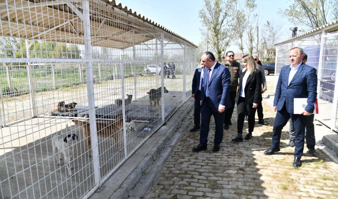 Vali Soytürk’ten Malkara’da İnceleme Ziyaretleri Tekirdağ Valisi Recep Soytürk, Malkara ilçesinde çeşitli ziyaret ve incelemelerde