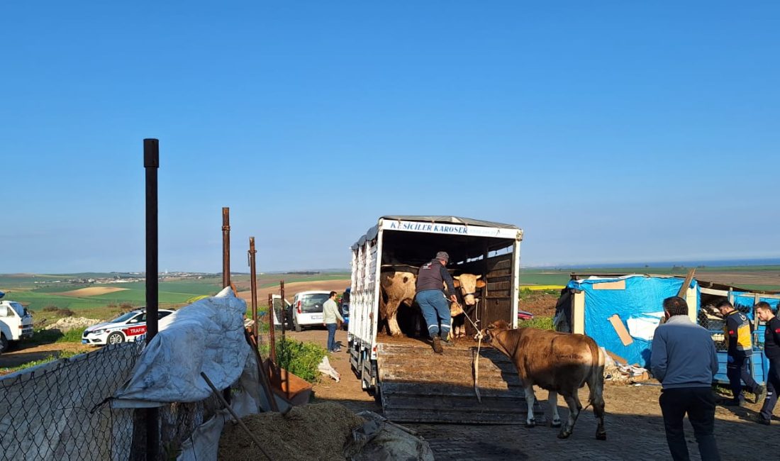Tekirdağ Tarım ve Orman Müdürlüğü, yasa dışı hayvan hareketlerine karşı