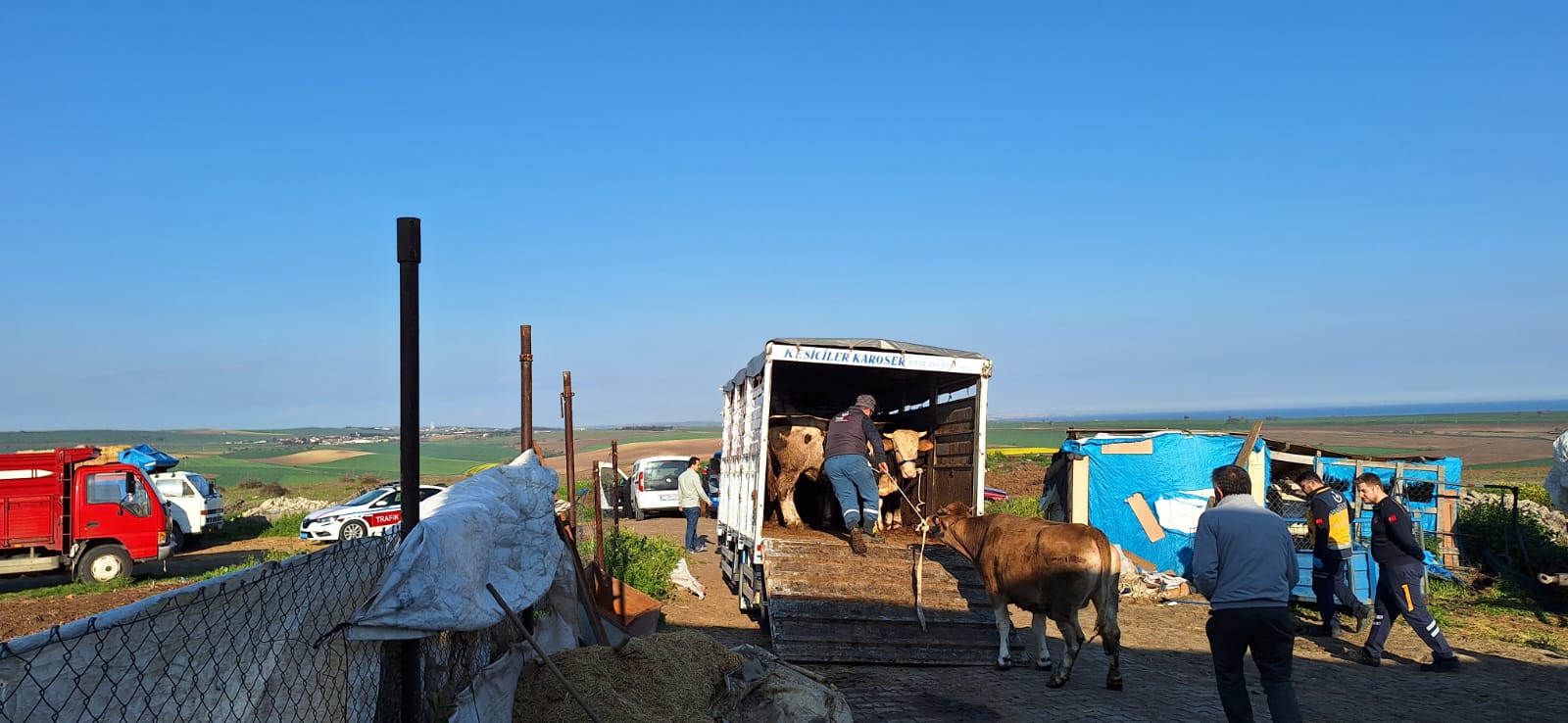 Tekirdağ Tarım ve Orman Müdürlüğü, yasa dışı hayvan hareketlerine karşı