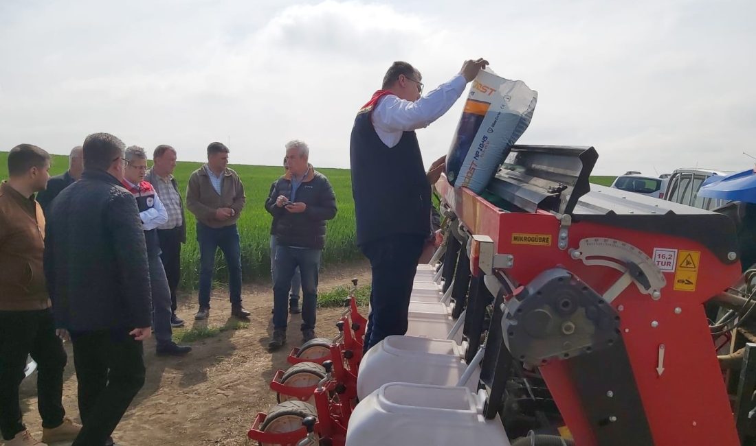 Tarımsal üretimde sürdürülebilirliği ve toprak sağlığını korumayı hedefleyen “Anıza Ayçiçeği