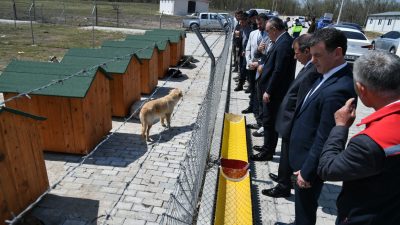 Tekirdağ Valisi Recep Soytürk, sahipsiz sokak hayvanlarına yönelik çalışmaların yürütüldüğü