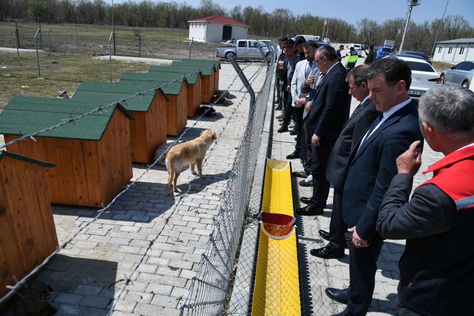 Tekirdağ Valisi Recep Soytürk, sahipsiz sokak hayvanlarına yönelik çalışmaların yürütüldüğü
