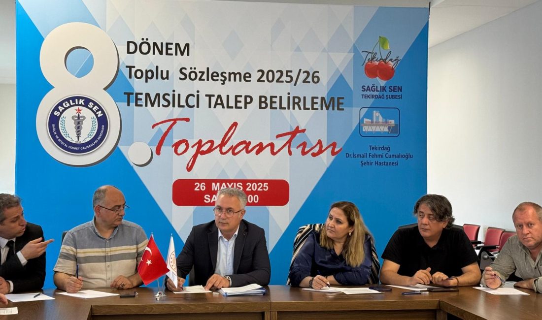 Sağlık-Sen, 8. Dönem Toplu Sözleşme süreci öncesinde sağlık ve sosyal