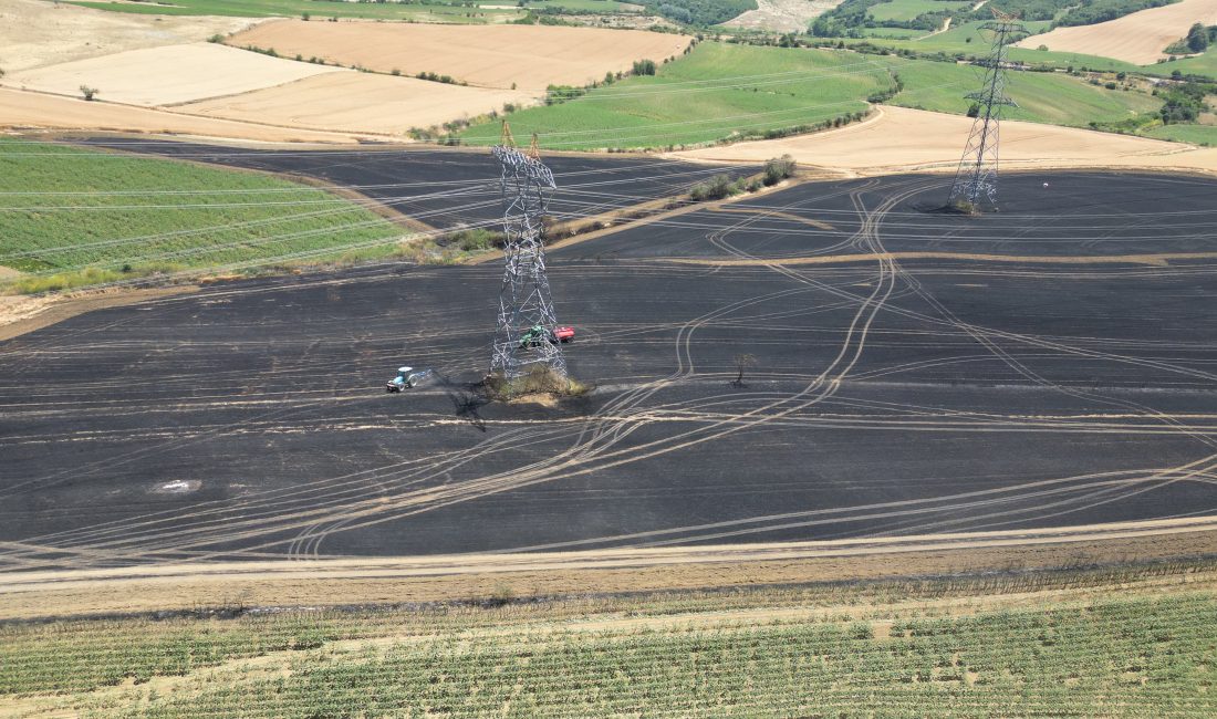 Tekirdağ’da Çıkan Yangında 250 Dekar Alan Zarar Gördü Tekirdağ’ın Nusratfakı Mahallesi’nde hasat zamanı yaklaşan buğday tarlasında çıkan yangın,