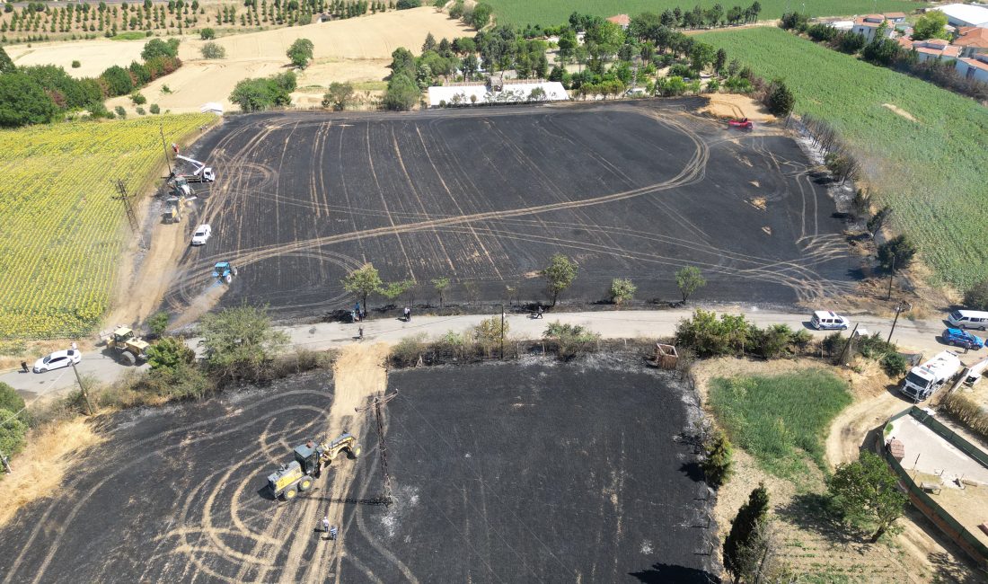 Yangında yaklaşık 100 dekarlık buğday ekili alan yandı