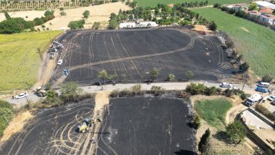 Yangında yaklaşık 100 dekarlık buğday ekili alan yandı