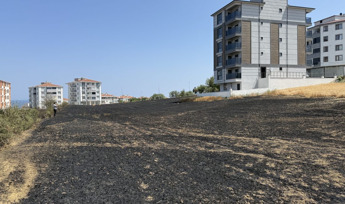 Yangın sonucu 30 dekar buğday ekili tarla tamamen yandı 
