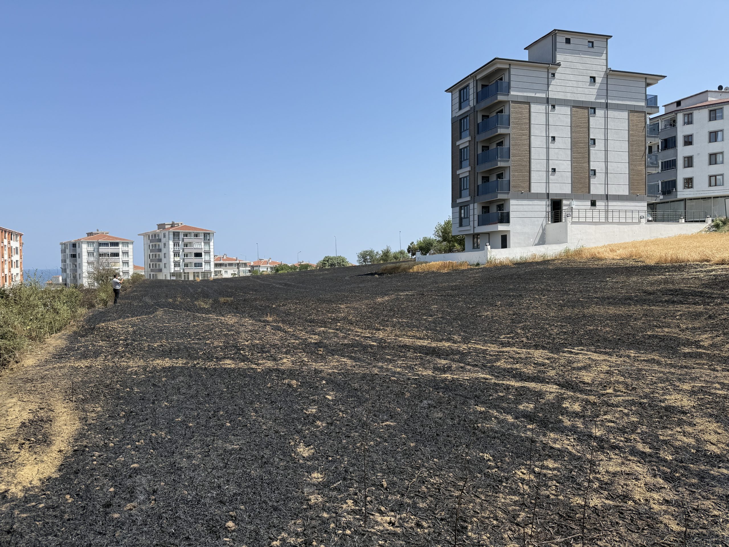 Yangın sonucu 30 dekar buğday ekili tarla tamamen yandı 