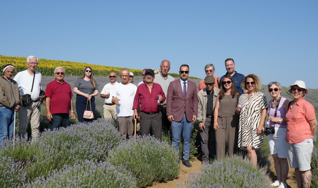 Tekirdağ’da Huzurevi Sakinleri Lavanta Tarlasında Doğayla Buluştu Tekirdağ’da yaşlı bireyler, lavanta tarlasında düzenlenen etkinlikte doğayla baş başa