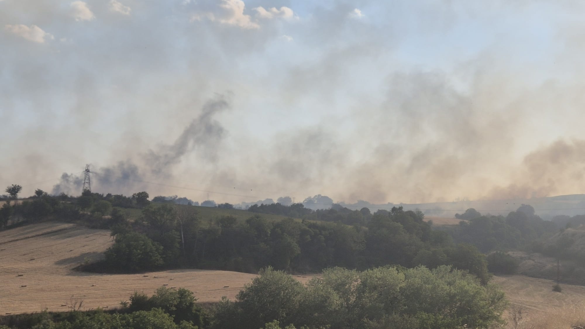 Yangında 60 dekar alan zarar gördü 