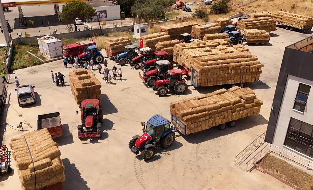 Şarköy’deki Orman Yangınının Ardından Çiftçilere 150 Ton Saman Desteği Tekirdağ’ın Şarköy ilçesinde geçen hafta çıkan orman yangınında zarara uğrayan
