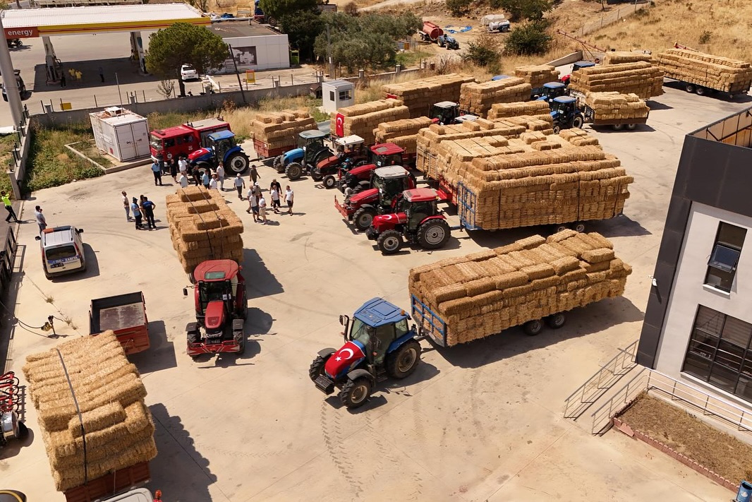 Tekirdağ’ın Şarköy ilçesinde geçen hafta çıkan orman yangınında zarara uğrayan