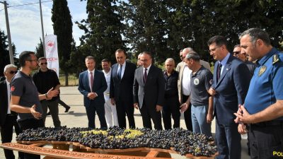 Tekirdağ Bağcılık Araştırma Enstitüsü’nün AR-GE çalışmalarıyla geliştirilen, yüksek kalite ve