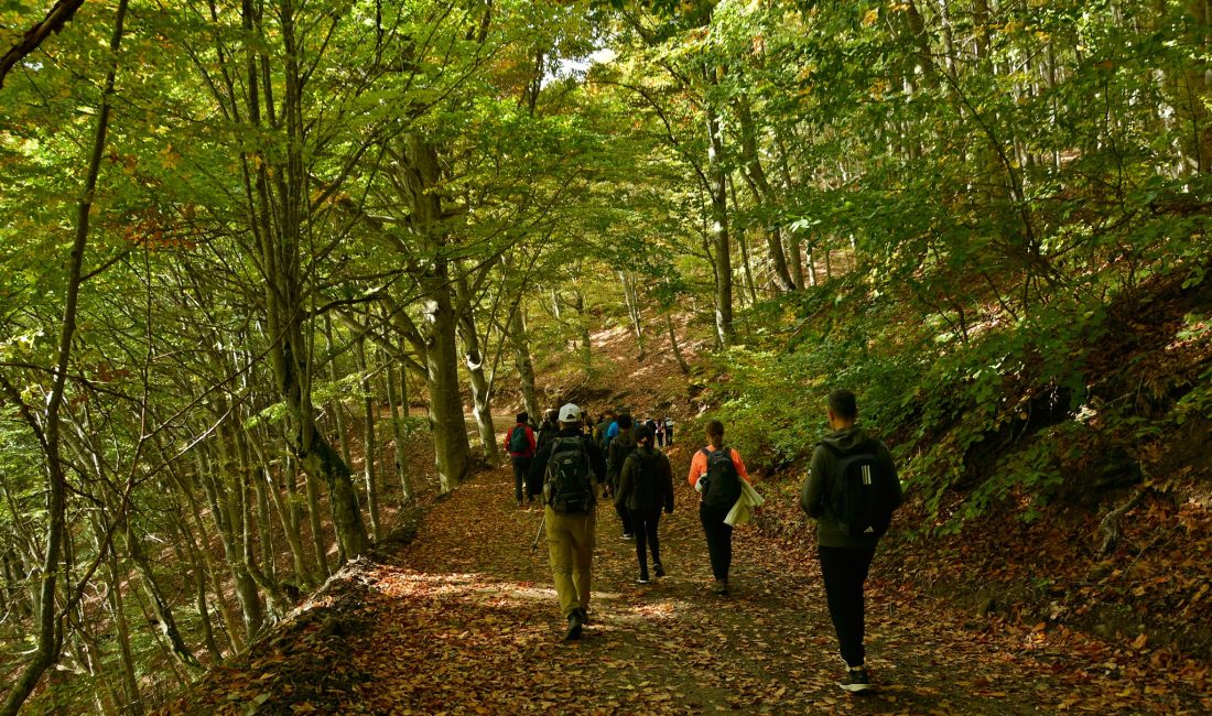Rumeli Zirve Dağcılık Kulübü Istrancalar’da Doğa Yürüyüşü Yaptı Rumeli Zirve Dağcılık Kulübü üyeleri, Kırklareli’nin Karadeniz kıyısındaki Istranca ormanlarında