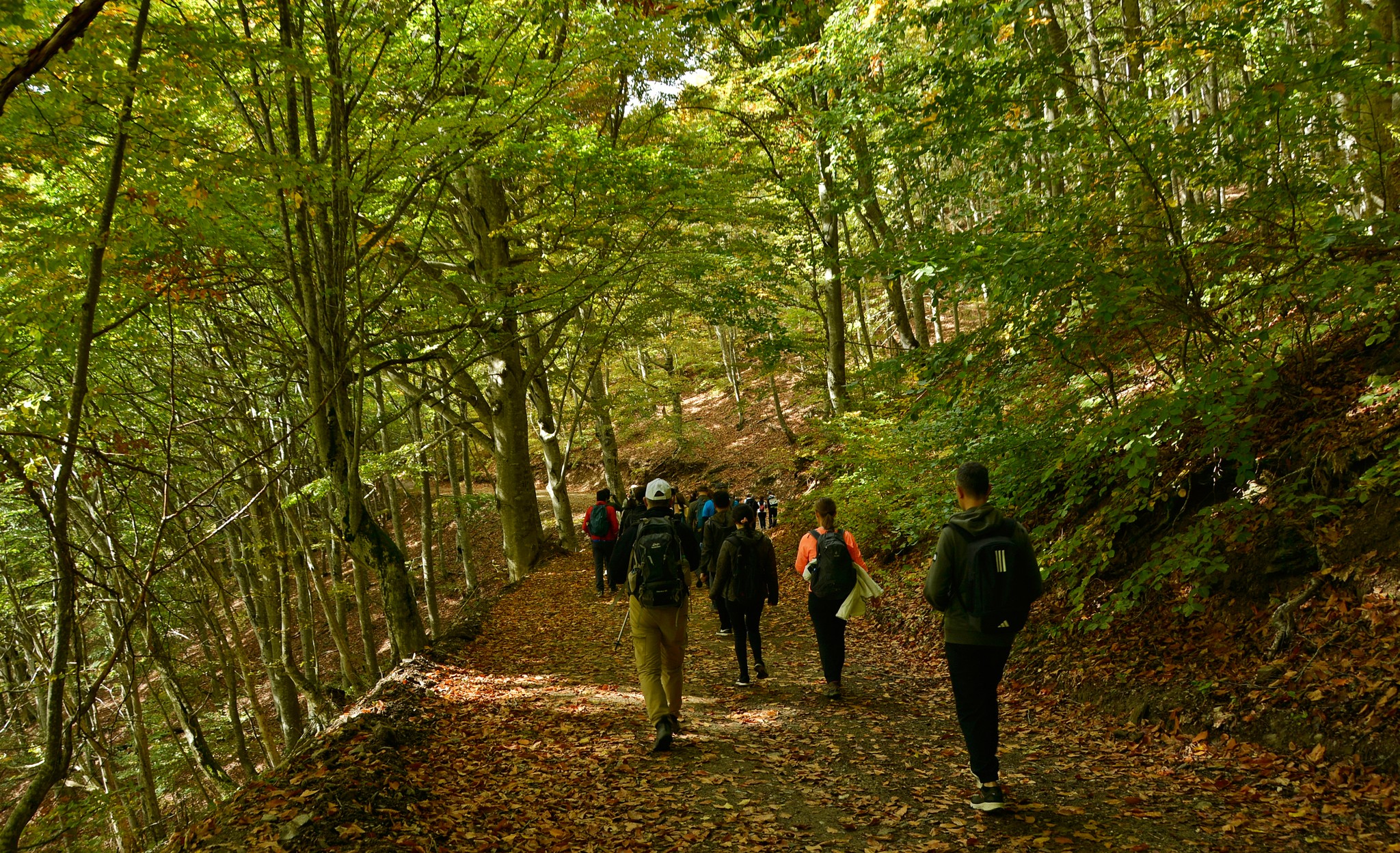 Rumeli Zirve Dağcılık Kulübü üyeleri, Kırklareli’nin Karadeniz kıyısındaki Istranca ormanlarında