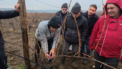 Eğitim programı uygulamalı ve teorik olmak üzere iki aşamada yapıldı