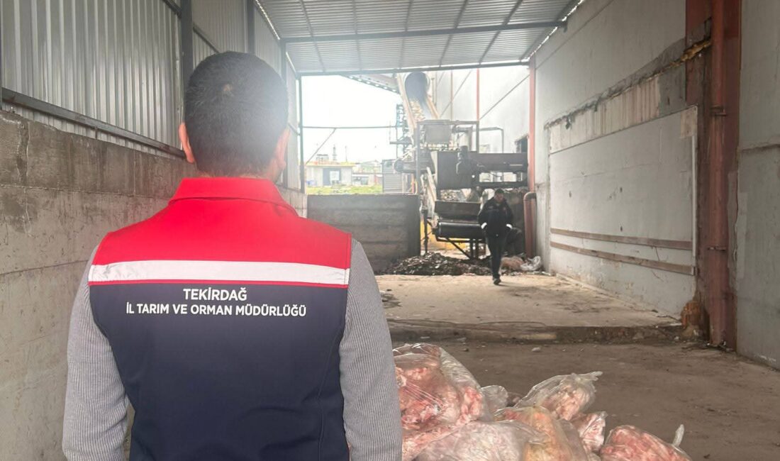 Tekirdağ’ın Ergene ilçesinde gerçekleştirilen denetimlerde, sağlıksız koşullarda taşındığı belirlenen 2