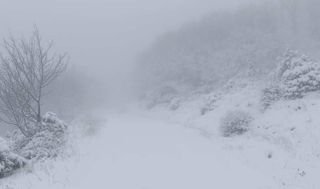Tekirdağ’da hava sıcaklıklarının düşmesiyle birlikte yüksek kesimlerde kar yağışı etkili