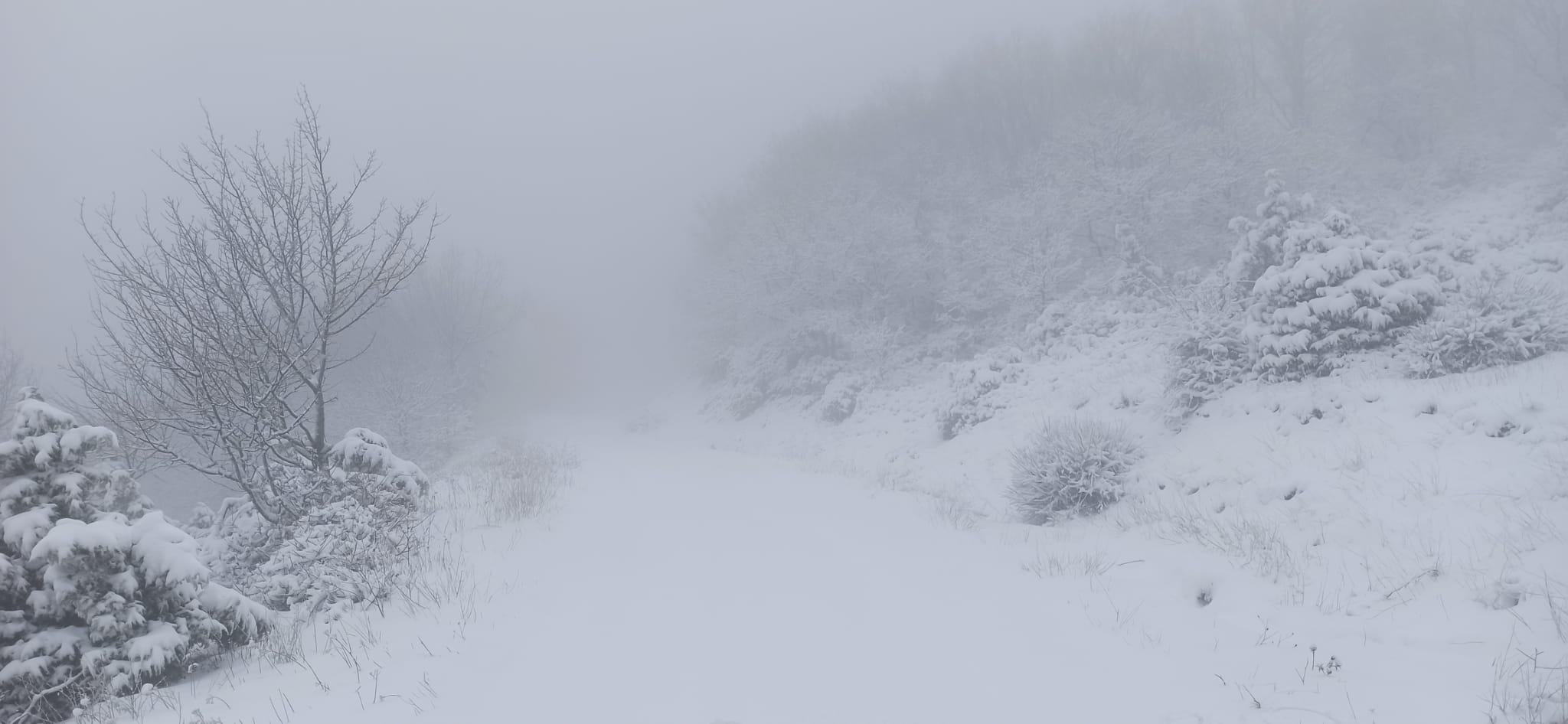 Tekirdağ’da hava sıcaklıklarının düşmesiyle birlikte yüksek kesimlerde kar yağışı etkili