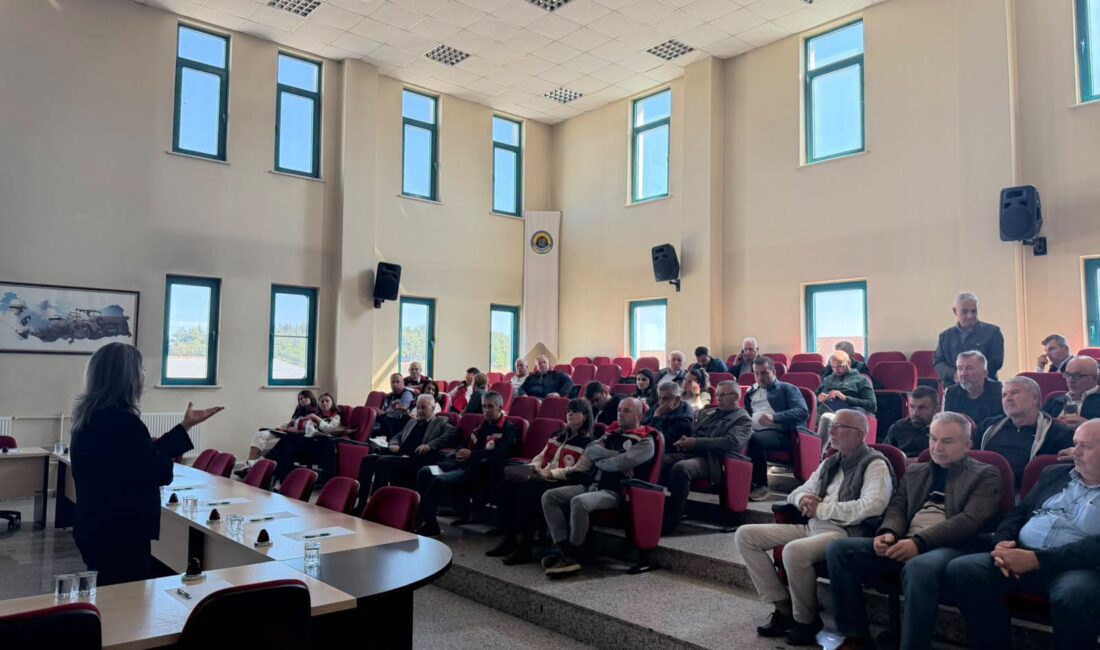 Tekirdağ’da tahıllarda verim ve kalite kayıplarına neden olan sarı cücelik
